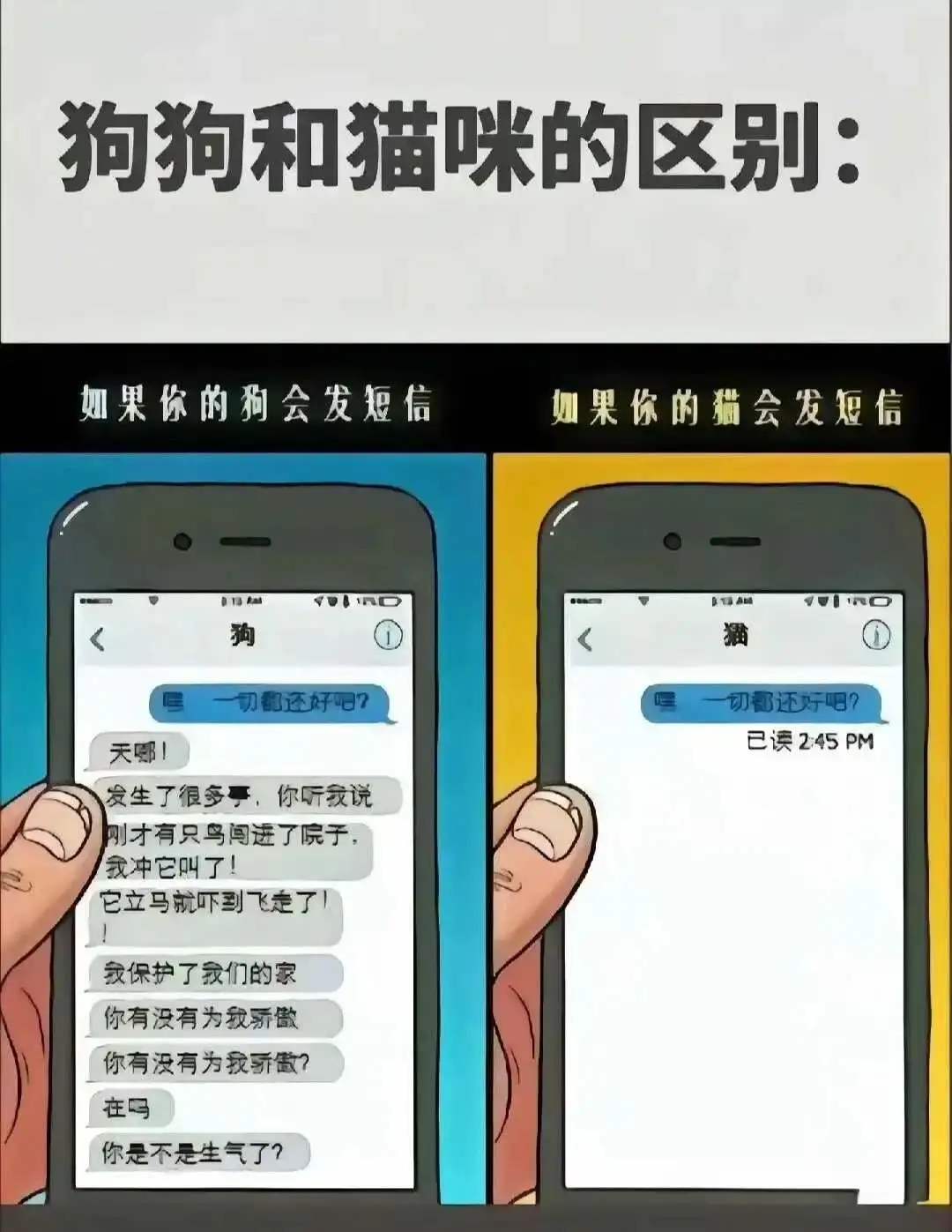 西檬之家-字母圈 K9 是什么？