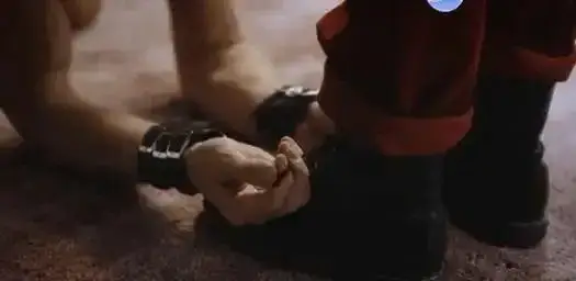 西檬之家-字母圈BDSM新人指南
