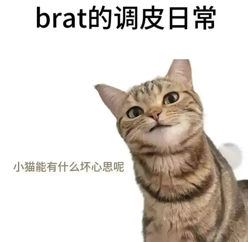 【西檬之家】字母圈的PE（Power Exchange）是什么？BDSM新人指南