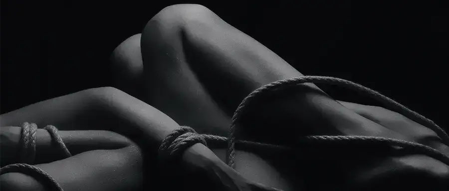 【西檬之家】DT是什么意思？字母圈新人的BDSM权威入圈指南