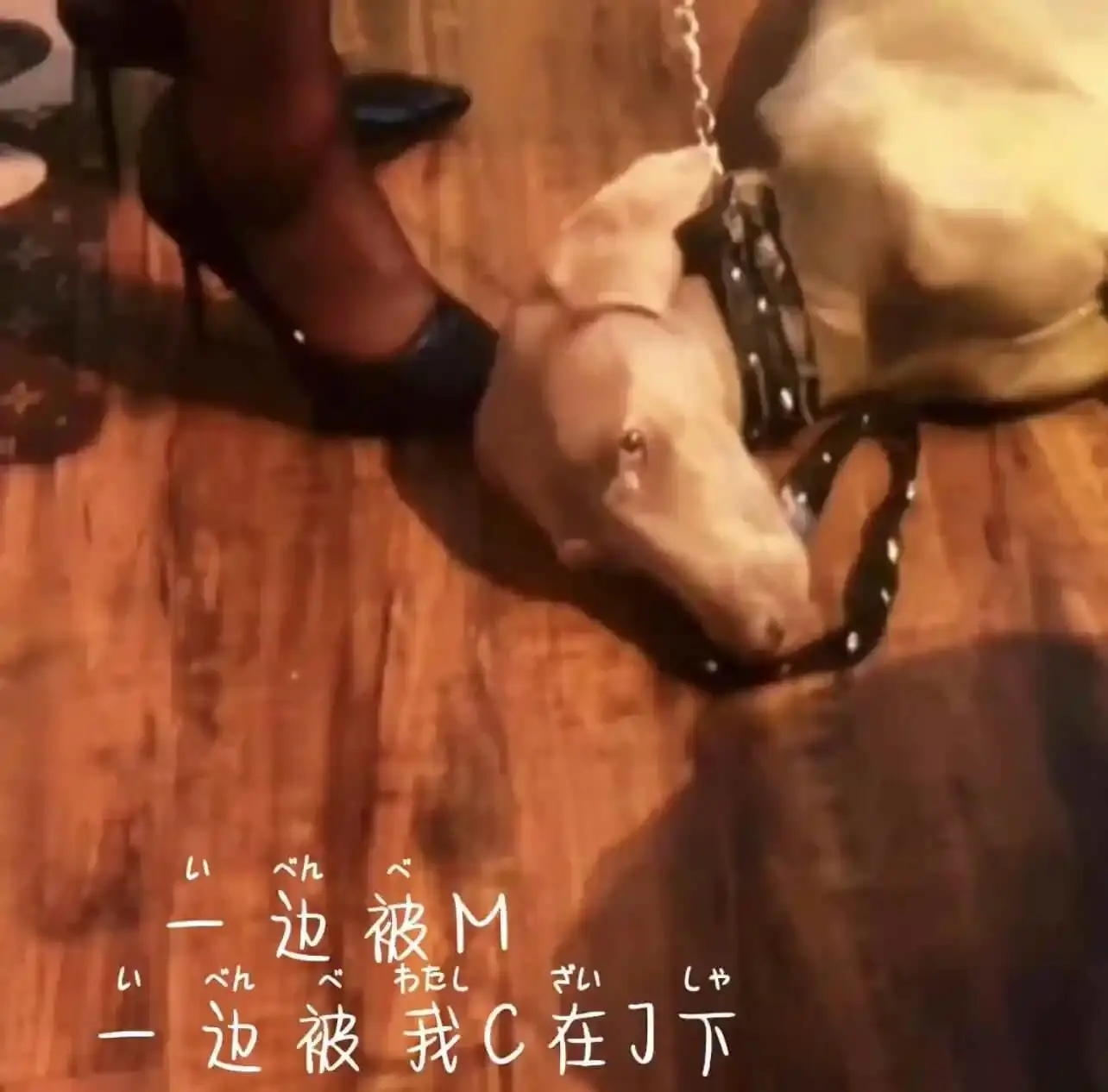 大圈 - 2023_11_07_20_50_IMG_8911
