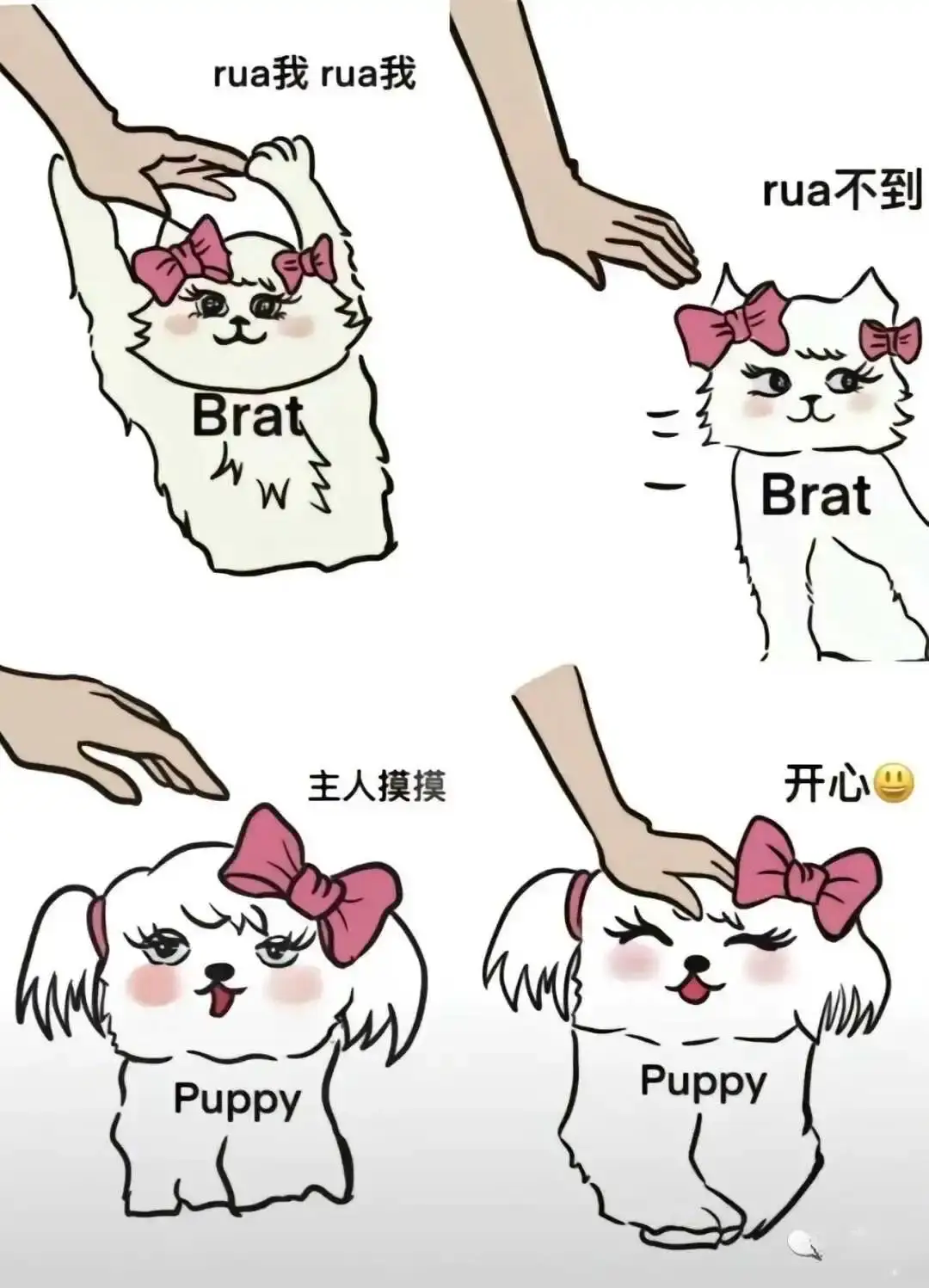 西檬之家-字母圈小圈新人指南