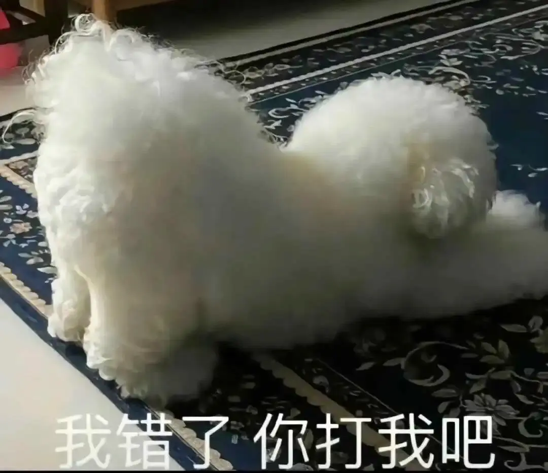 西檬之家-字母圈的PE是什么意思？