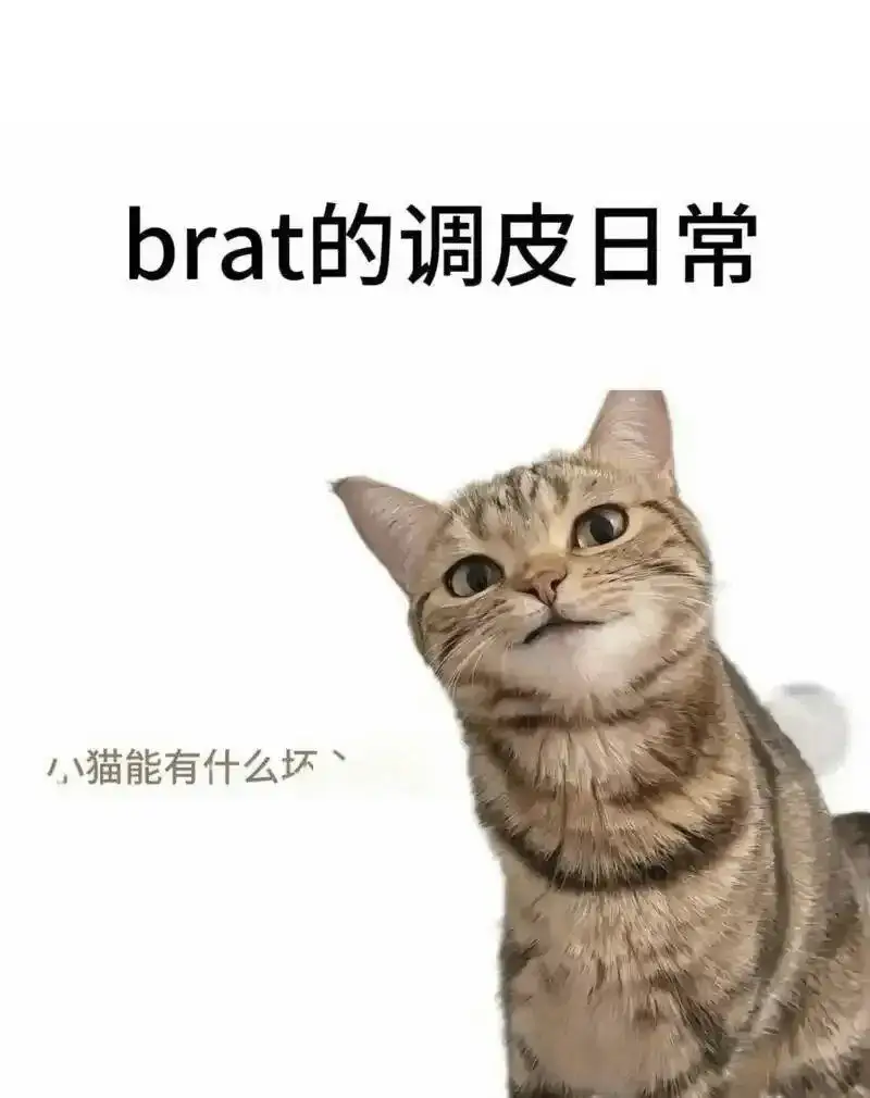 BDSM入圈 - 2025-11-13 192048
